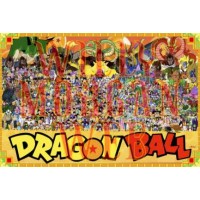 Dragon Ball Z 17